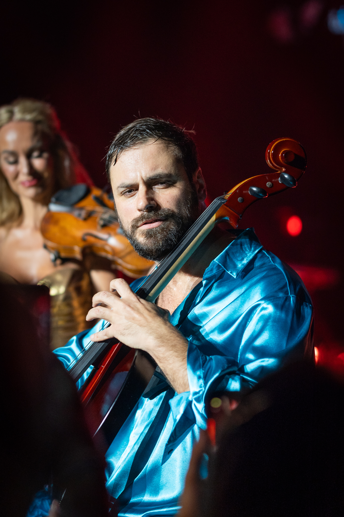 Hauser Bratislava November 2025