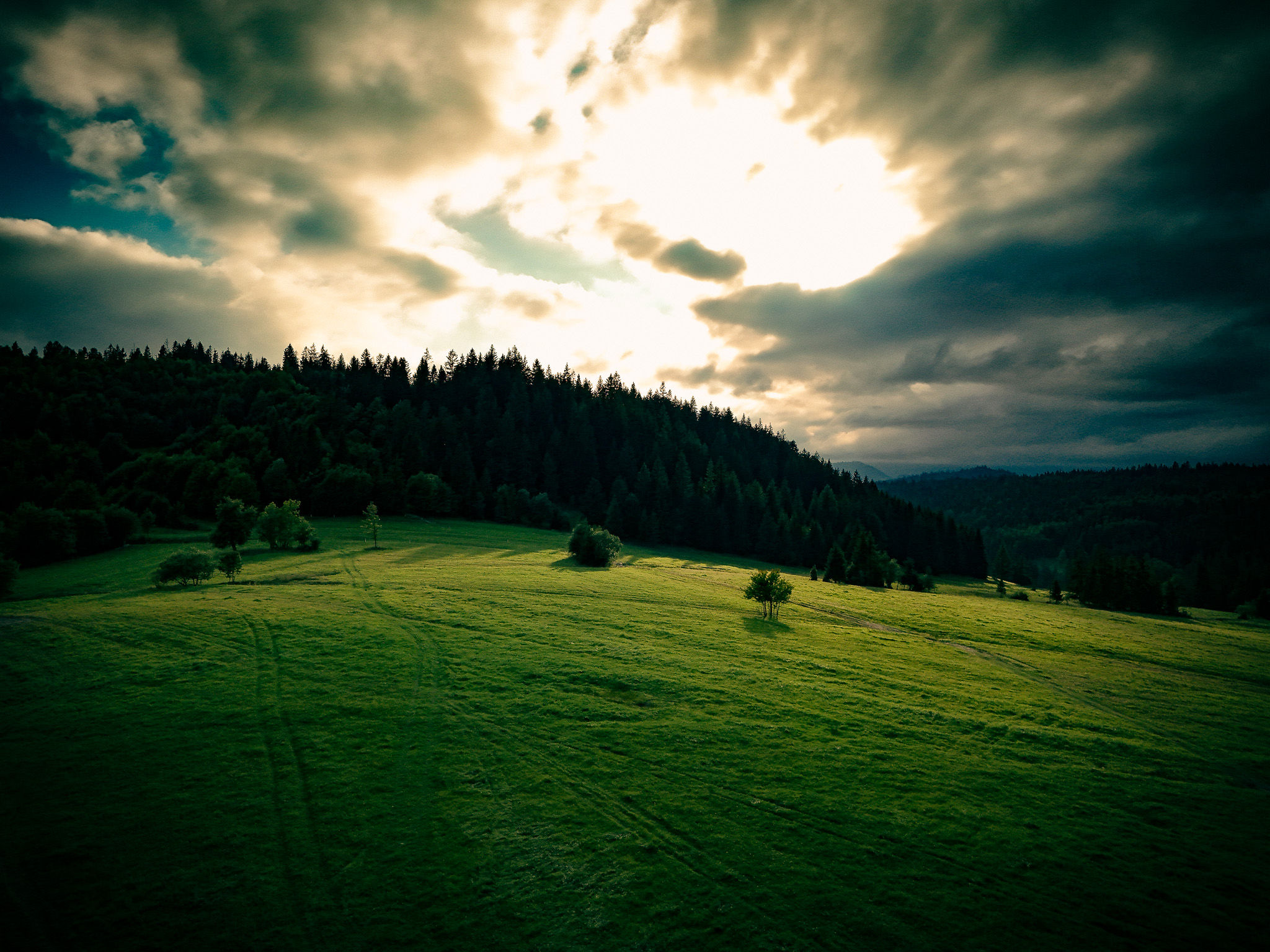 Oravská príroda očami orla